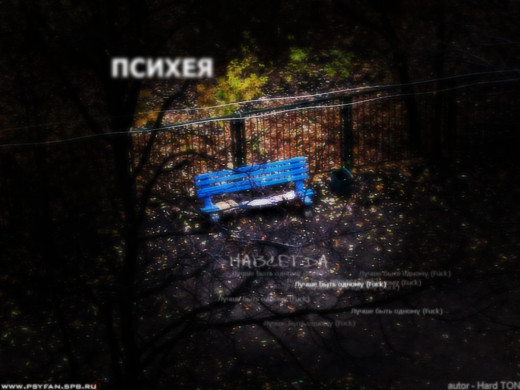 388849 (a): :1024x768